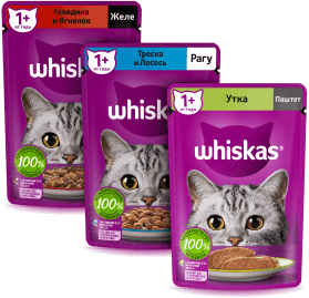 Whiskas brand imagery
