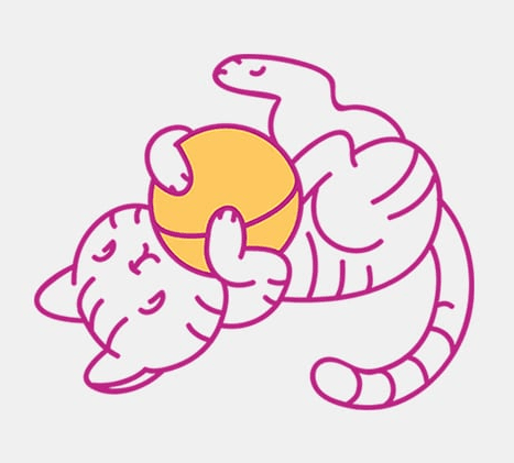 Какие игрушки для котят выбрать?