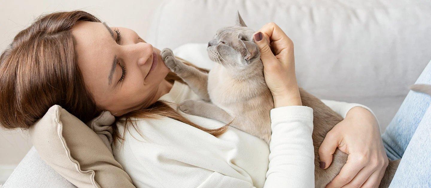 Whiskas brand imagery