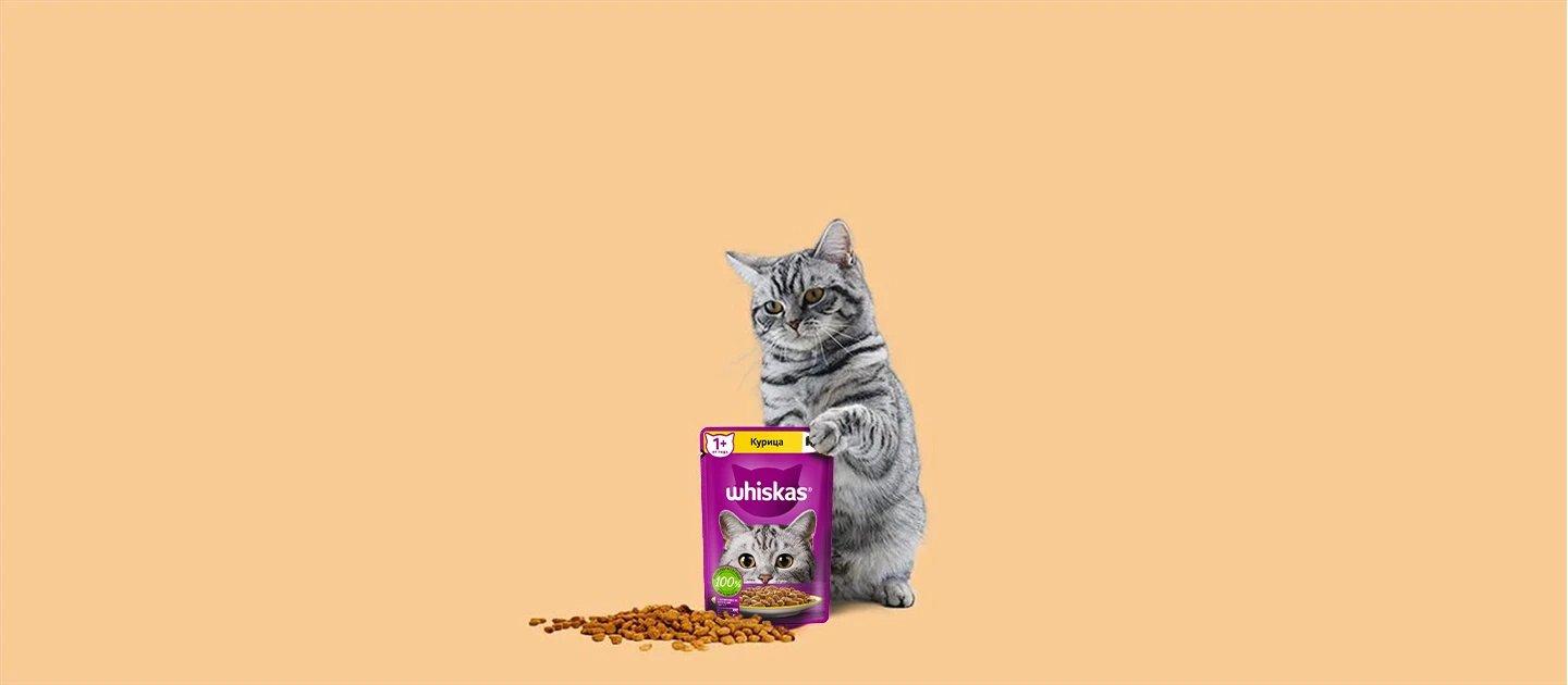 Whiskas brand imagery