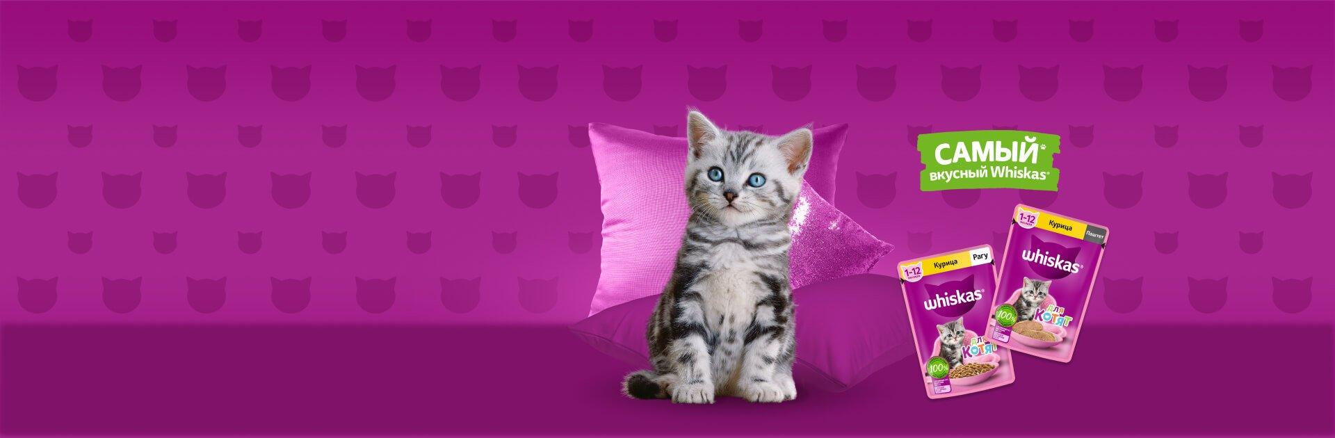 Whiskas brand imagery