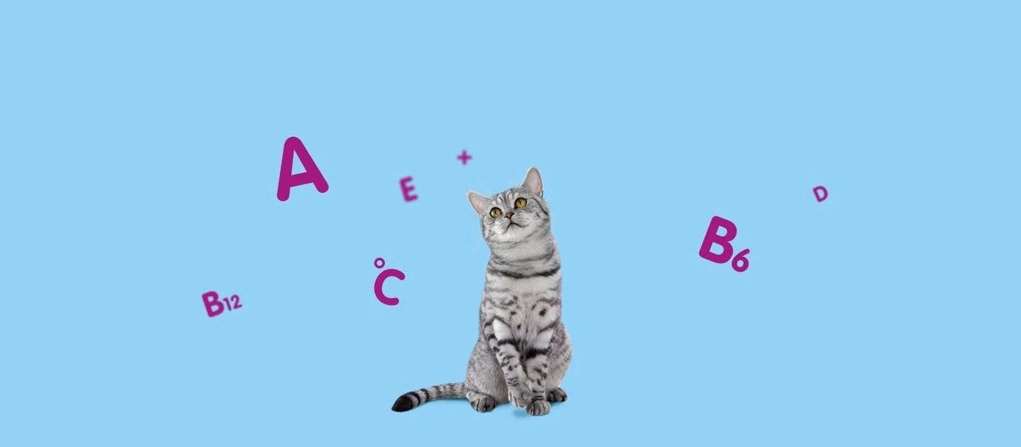 Whiskas brand imagery