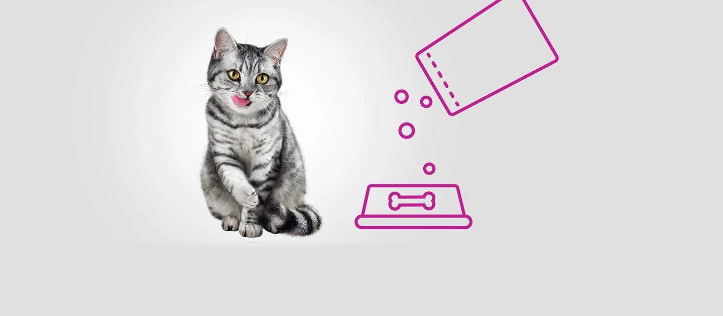 Whiskas brand imagery