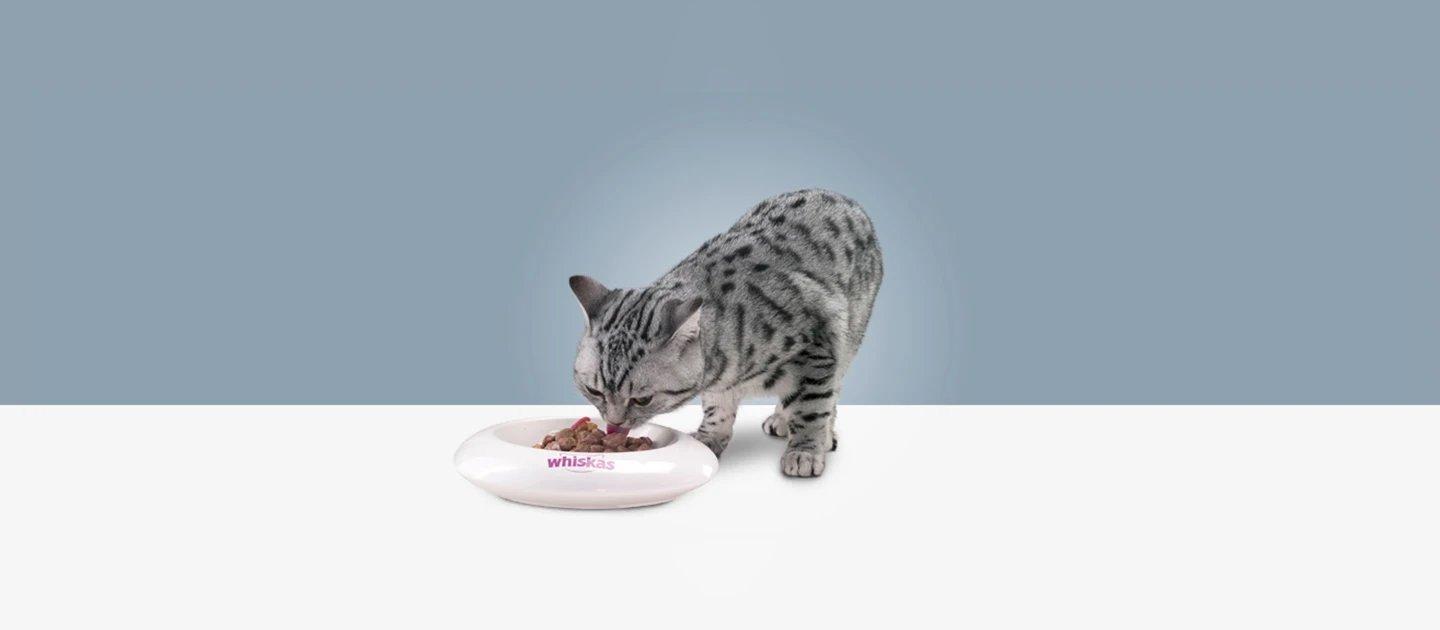 Whiskas brand imagery