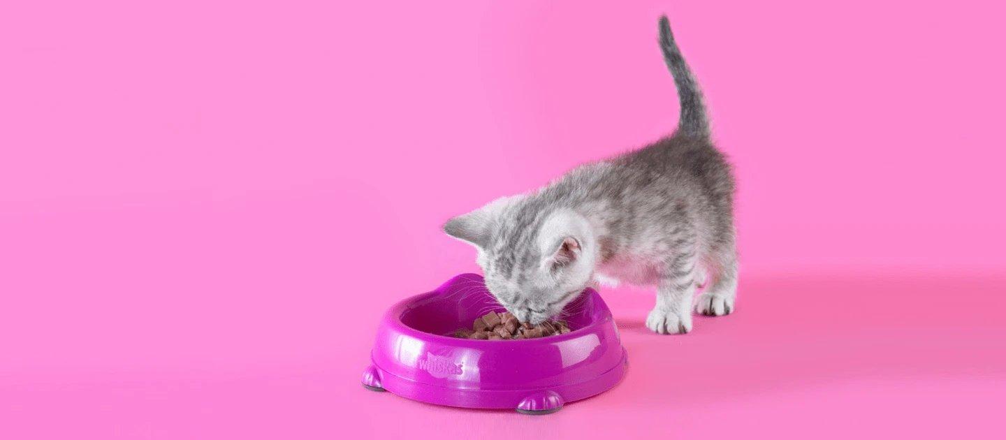 Whiskas brand imagery