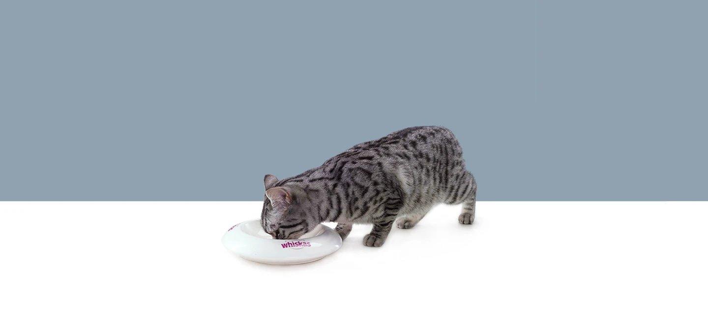 Whiskas brand imagery