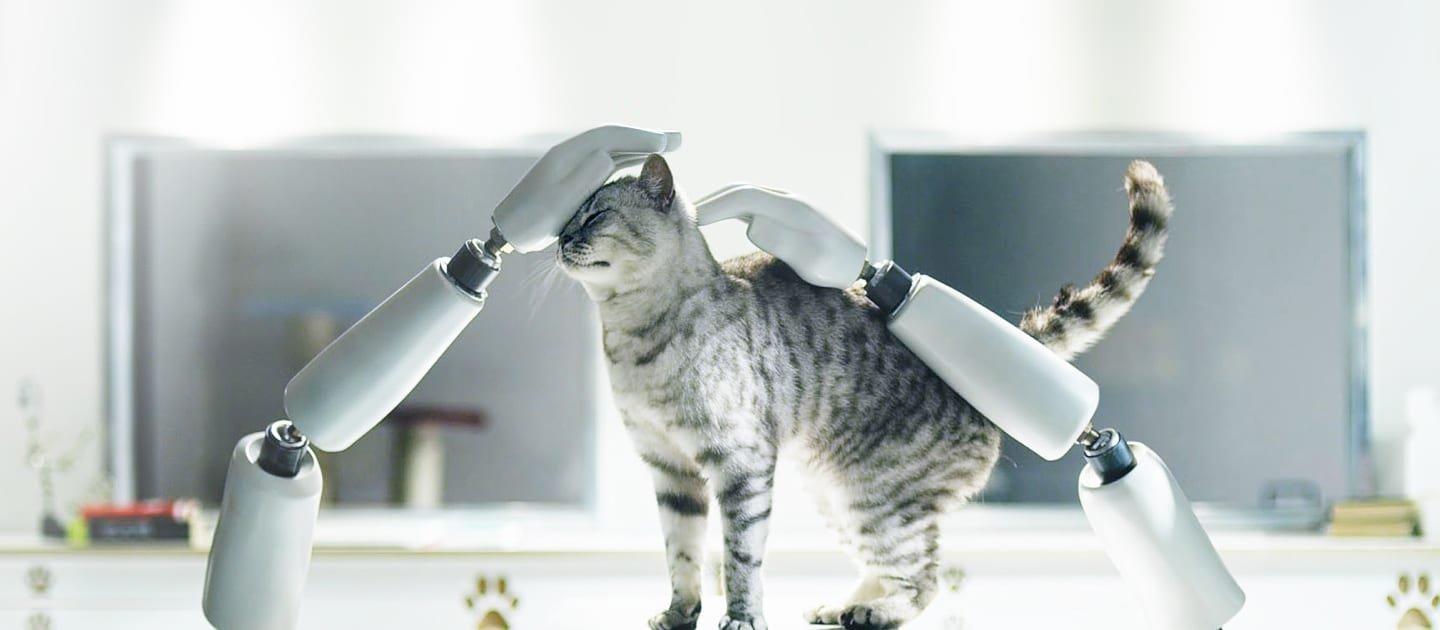 Whiskas brand imagery