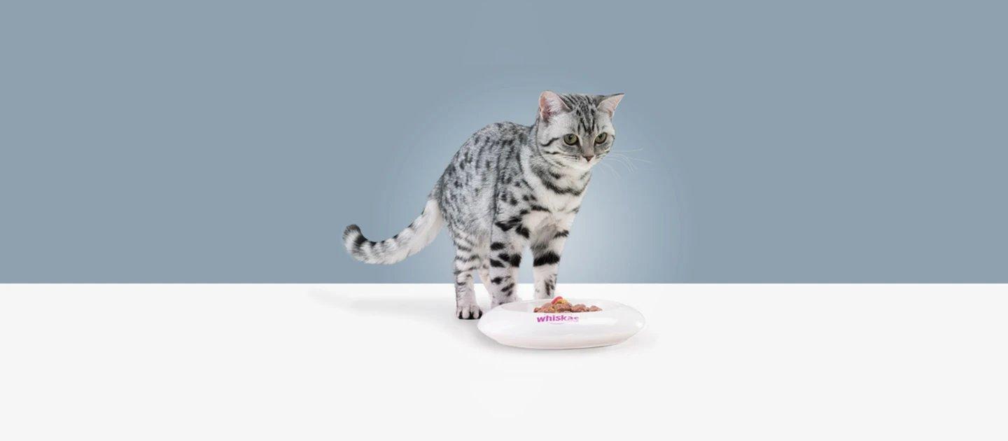 Whiskas brand imagery