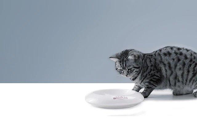 Whiskas brand imagery