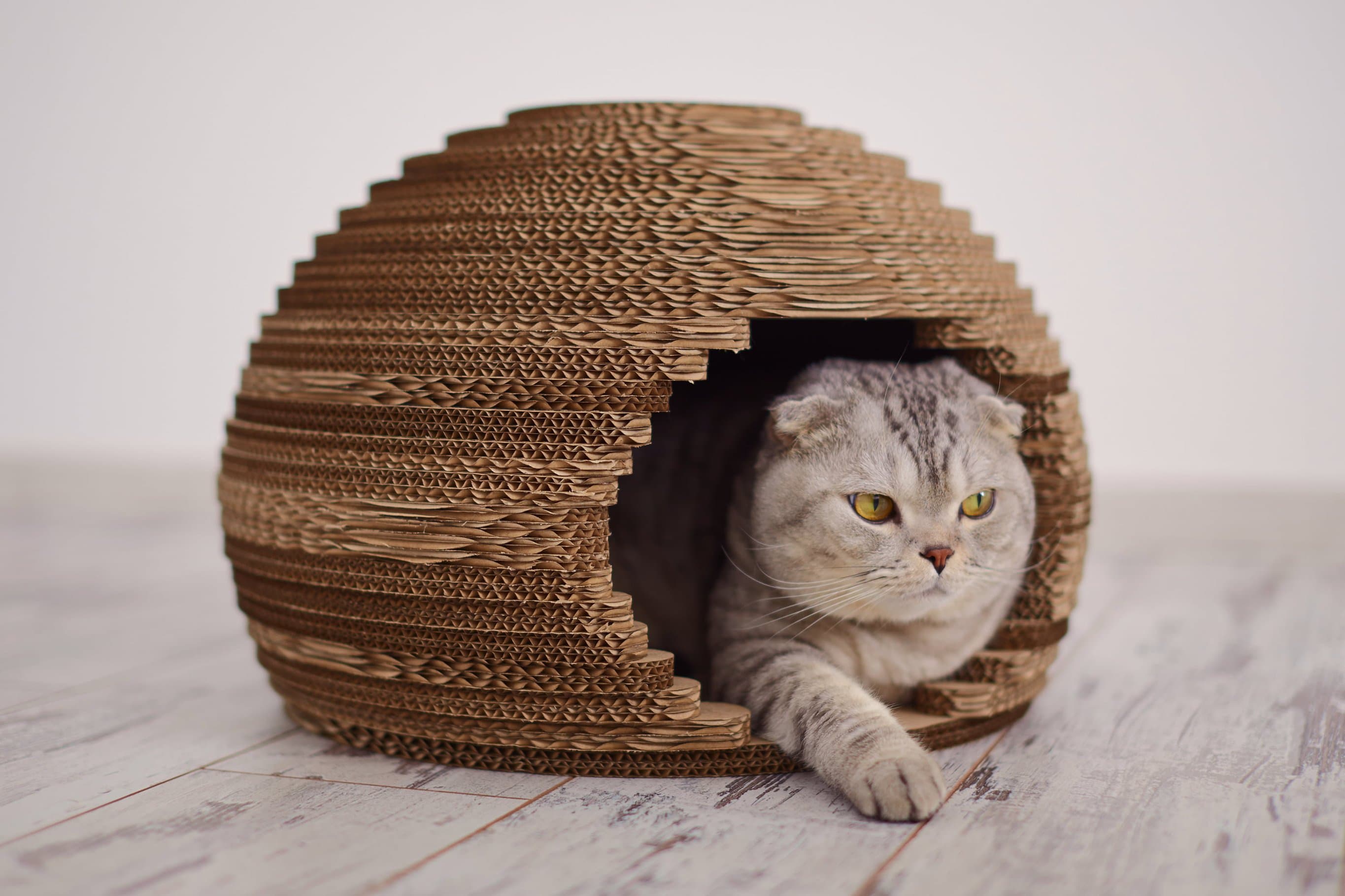 Домик для кошки