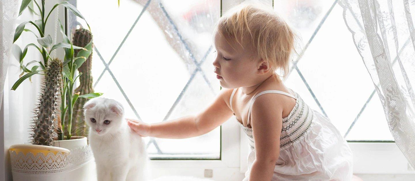 Whiskas brand imagery