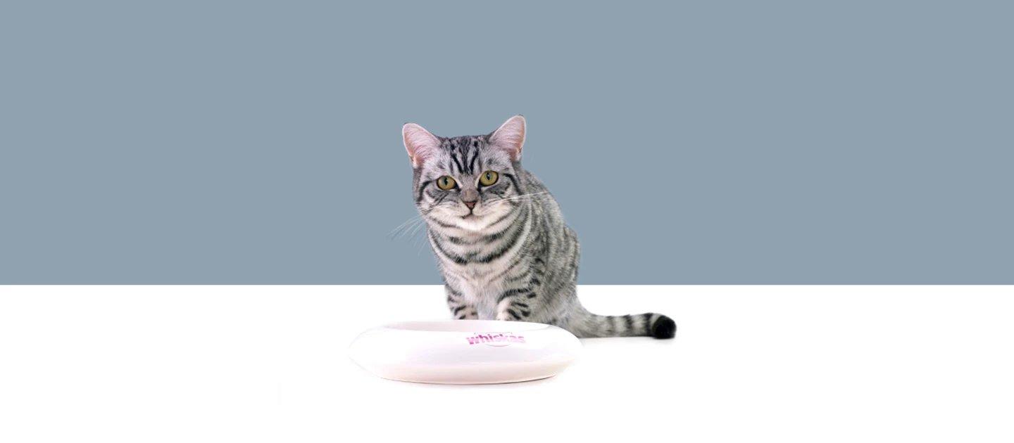 Whiskas brand imagery