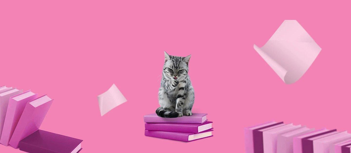 Whiskas brand imagery