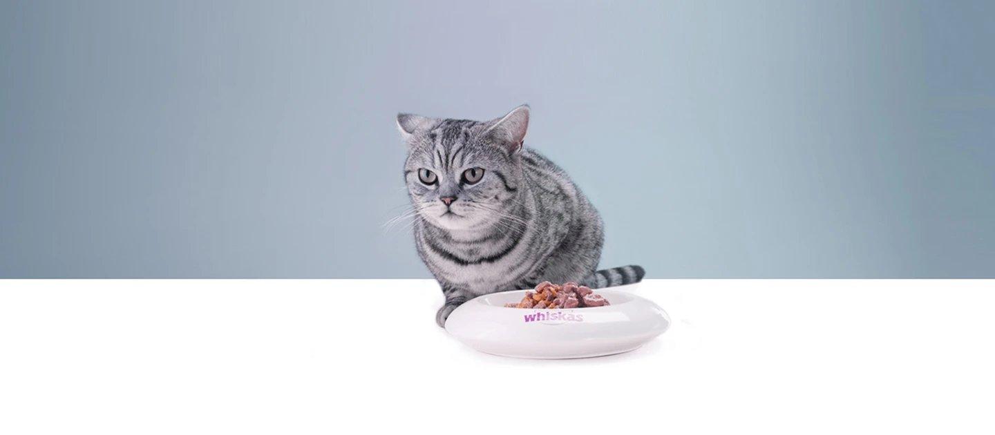 Whiskas brand imagery